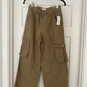 PacSun Tan Cargo Pants Utility Style